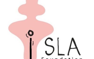 How Creative Philanthropy is supporting Clear Sky