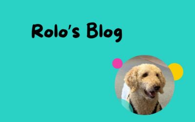 Rolo’s Blog! 28th September 2026