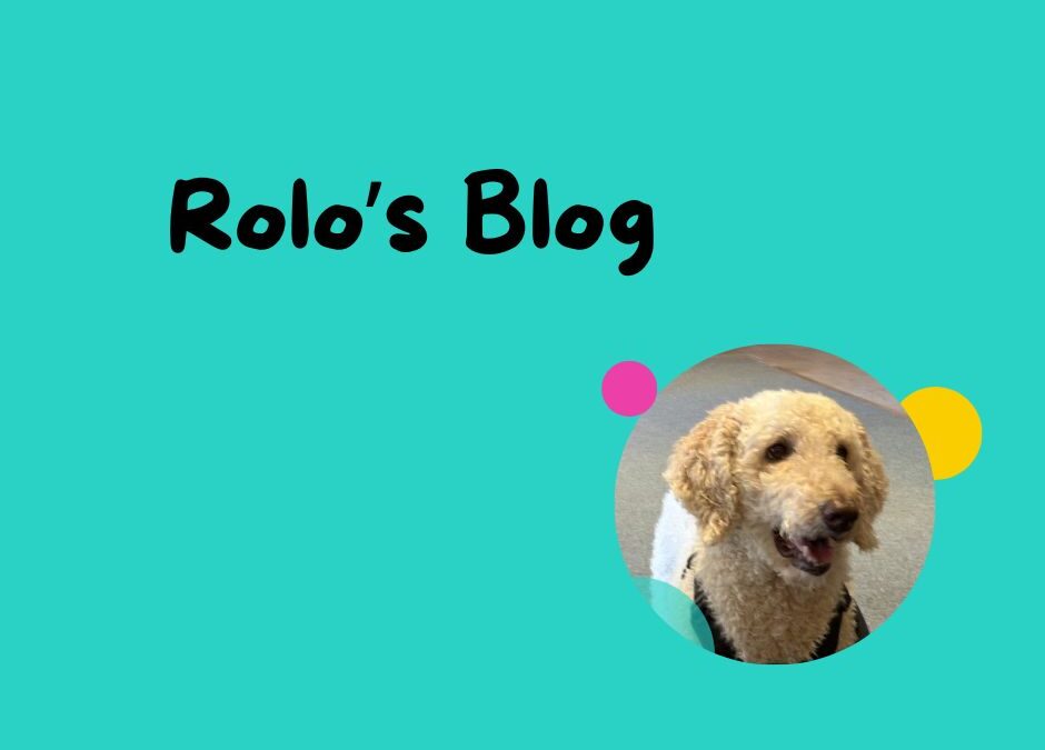 Rolo’s Blog! 28th September 2026