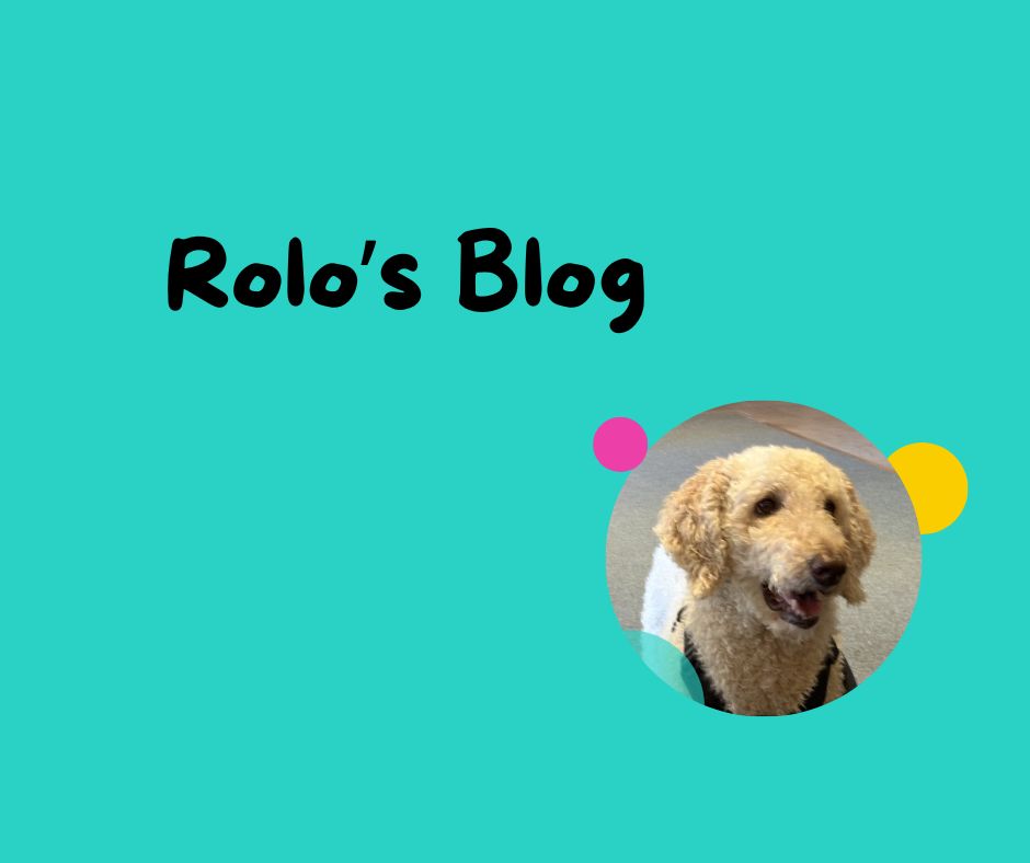 Rolo’s Blog! 21st September 2026